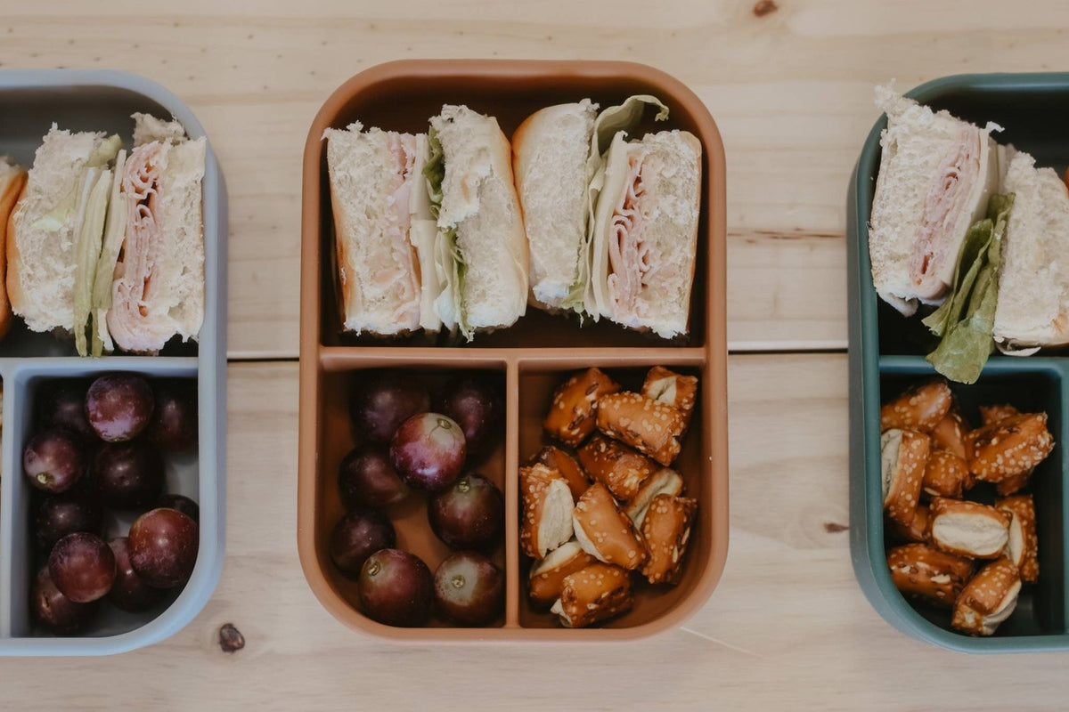 Terracotta Silicone Bento Box