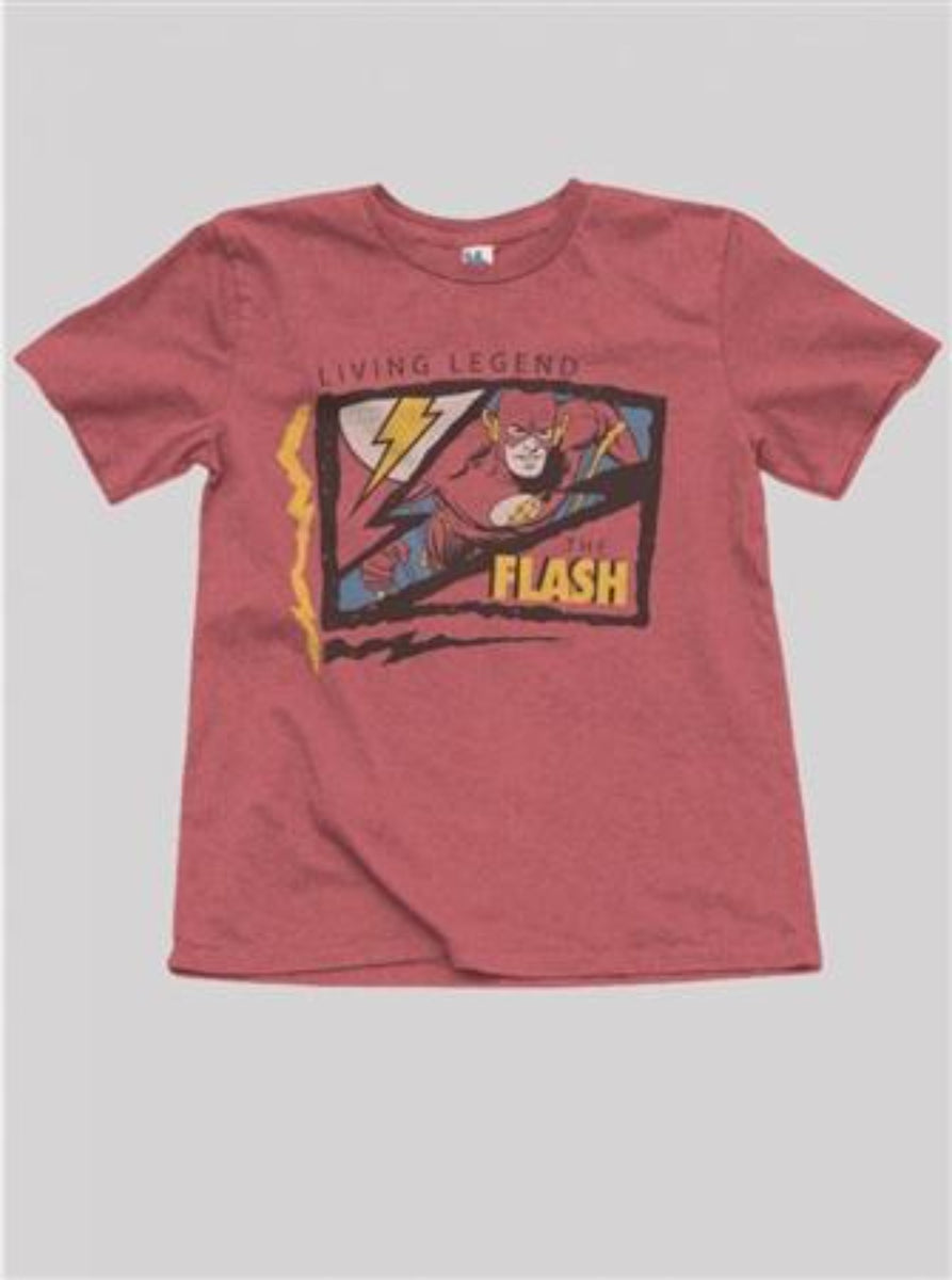 Junk Food Boys The Flash T-shirt | HONEYPIEKIDS | Superhero Shirts