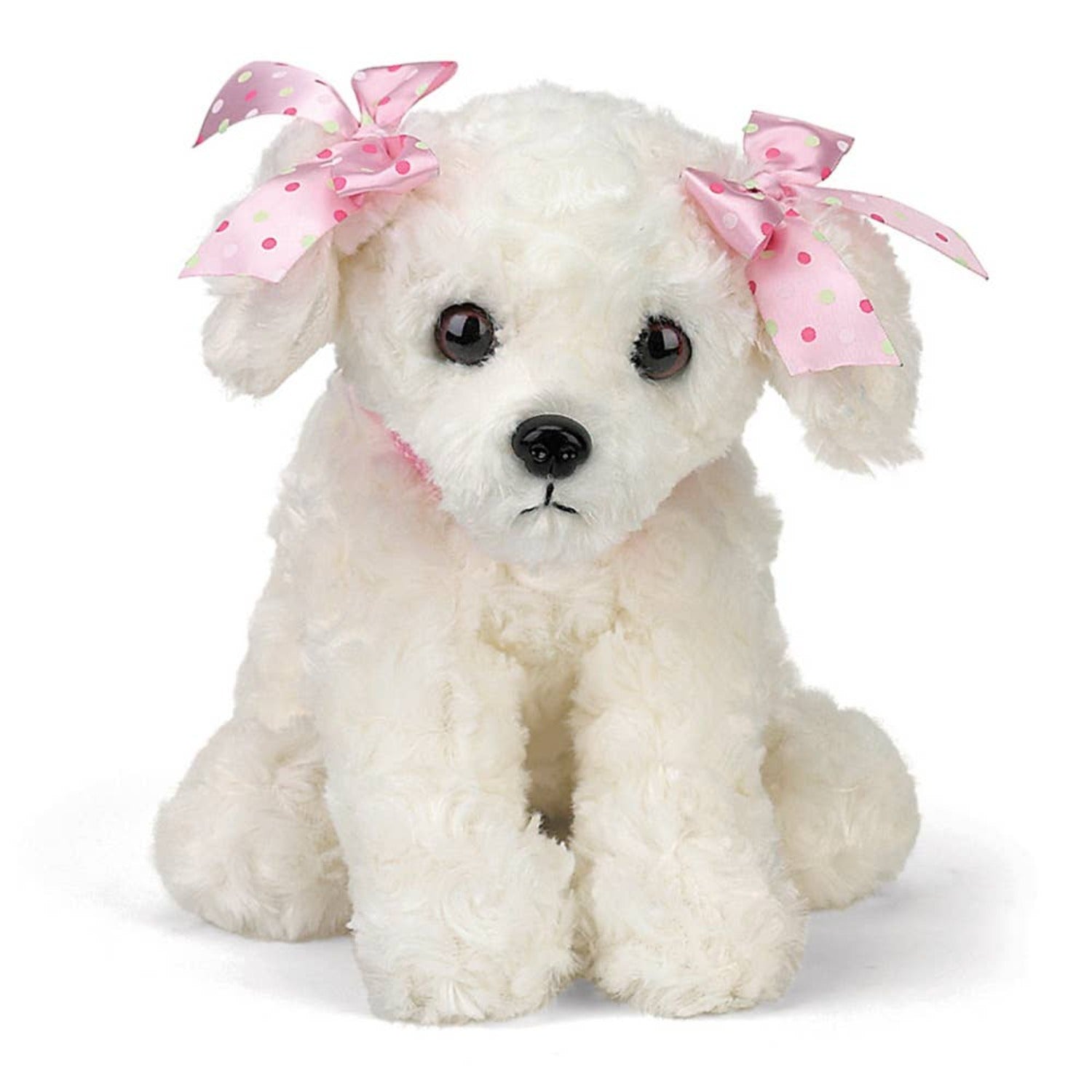 Puppy clothing fashion boutique